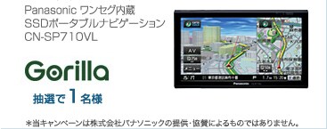 �����Z�O����SSD�|�[�^�u���i�r�Q�[�V�����@CN-SP710VL