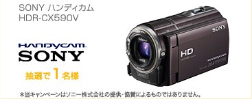 son �n���f�B�J��HDR-CX590V