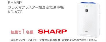 SHARP �v���Y�}�N���X�^�[������C����@