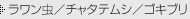 ���������^�`���^�e���V�^�S�L�u��
