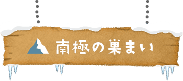 南極の巣まい