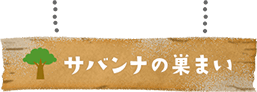 サバンナの巣まい