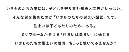 いきものたちの巣には、子どもを守り育む知恵と工夫がいっぱい。そんな巣を集めたのが「いきものたちの巣まい図鑑」です。住まいは子どもたちのためにある。ミサワホームが考える「住まいは巣まい」に通じるいきものたちの巣まいの世界、ちょっと覗いてみませんか?