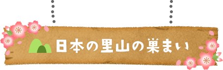 日本の里山の巣まい