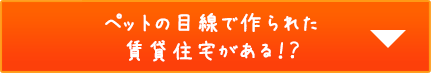 ペットの目線で作られた賃貸住宅がある!?