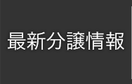 最新分譲情報