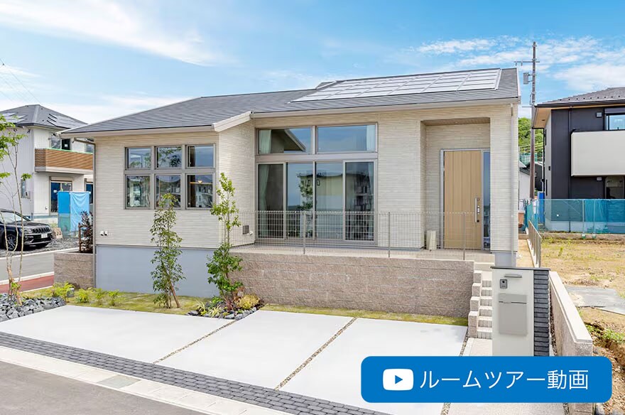 84号地