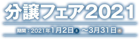 分譲フェア