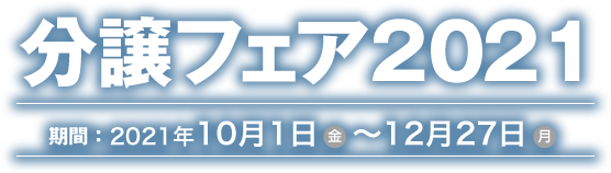 分譲フェア