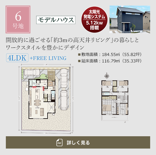 6号地