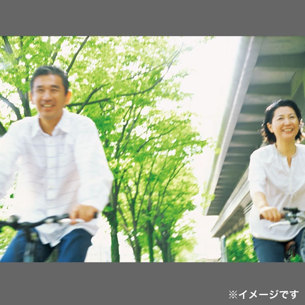 ファミリー向け