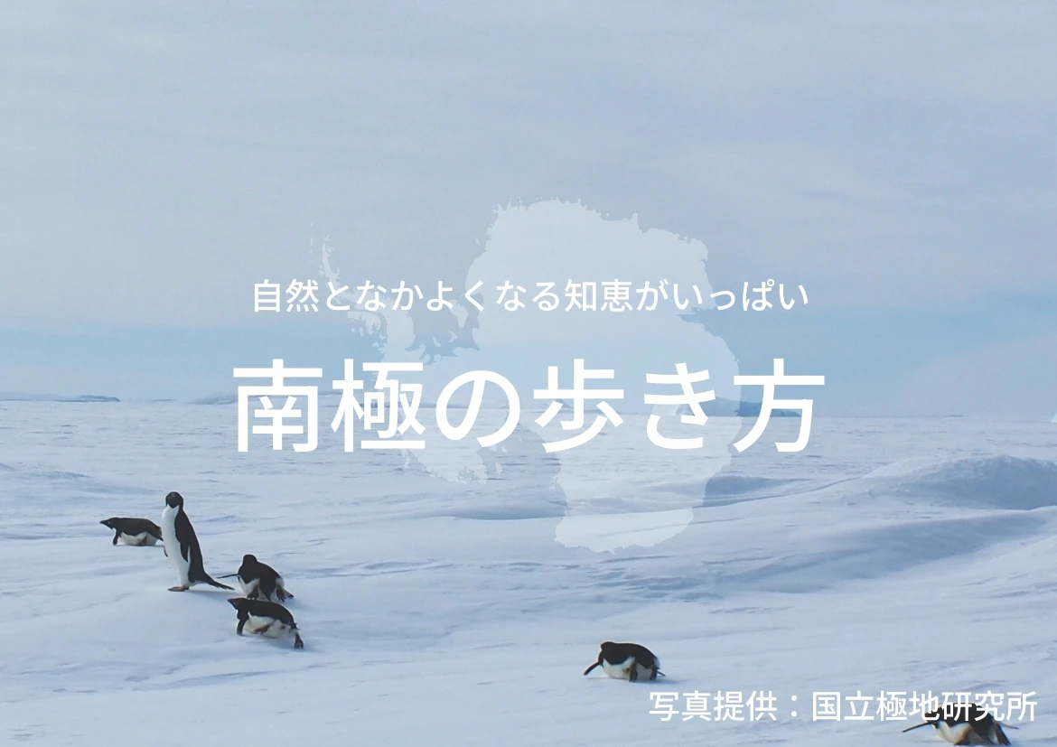 自然となかよくなる知恵がいっぱい南極の歩き方
