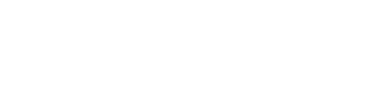 INTERNSHIP2025