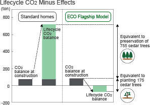 Lifecycle CO2 Minus Effects