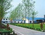 Lumber mill in China