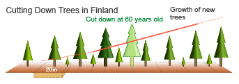 Cutting Down Trees in Finland