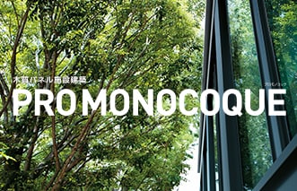 PROMONOCOCUE