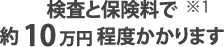 検査と保険料で約１０万円かります