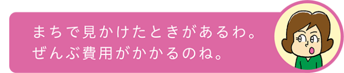 まちで見かけたときがあるわ。ぜんぶ費用がかかるのね。