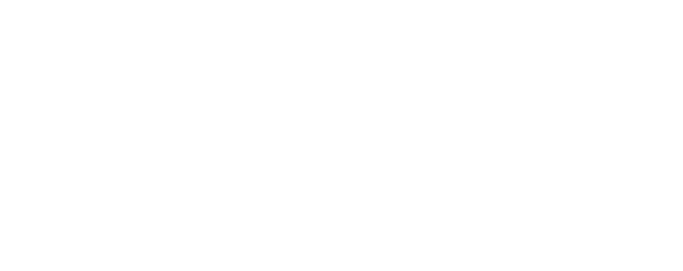 Professional Supports