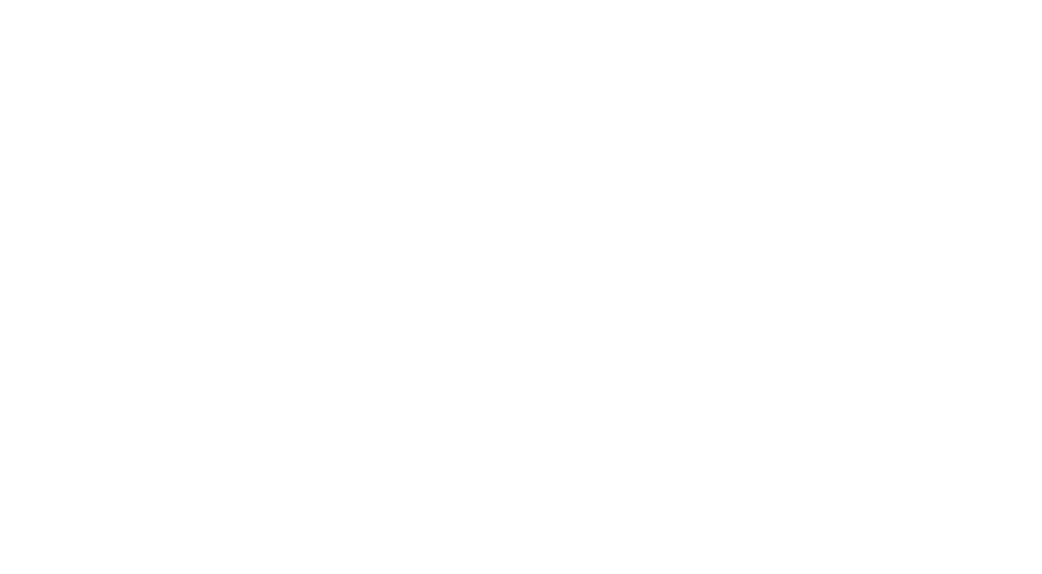 Professional Supports