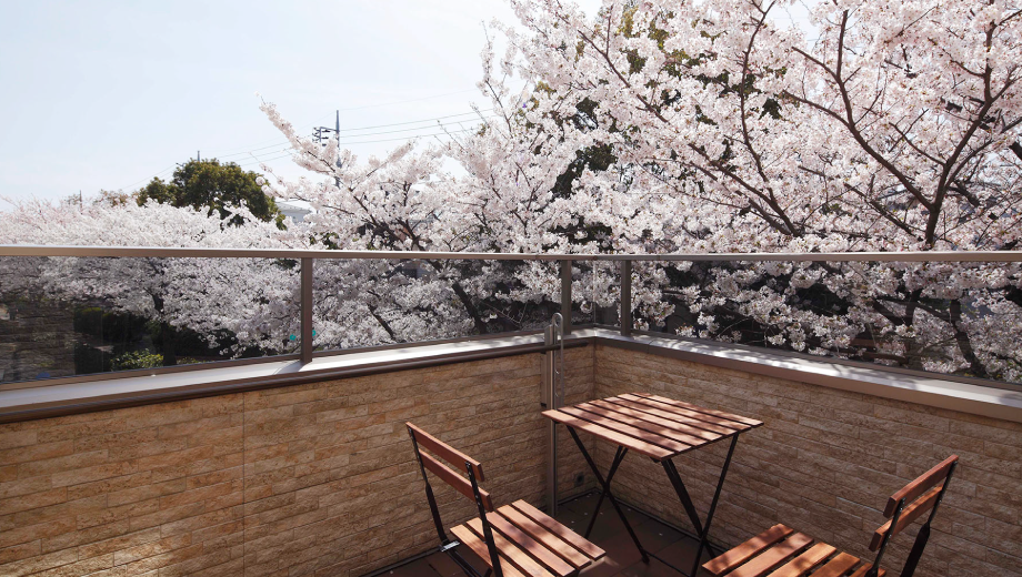 写真4