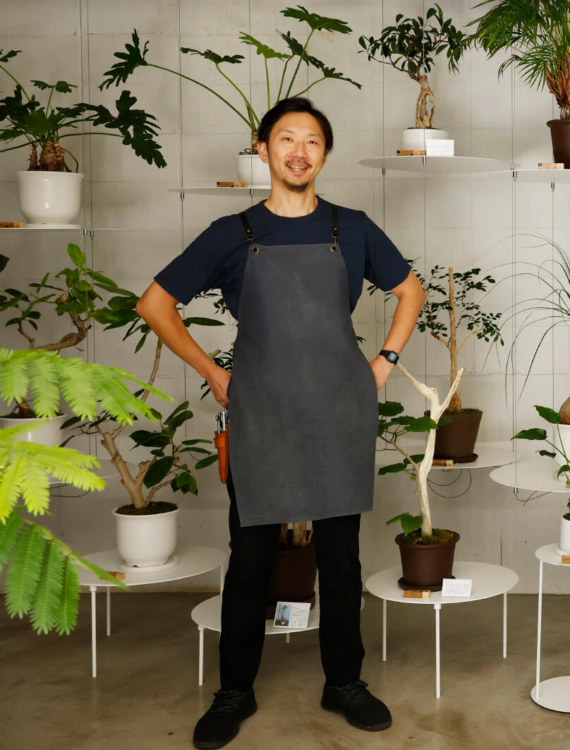 家族でケアを続けて100年生きる観葉植物に
