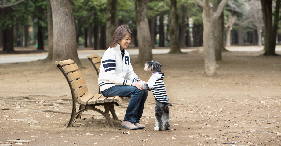 写真4