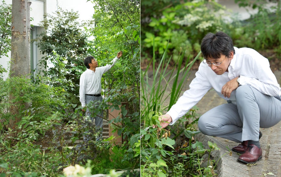 写真4