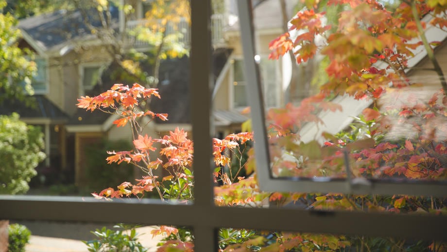 写真4