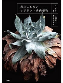  information画像