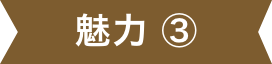 魅力③
