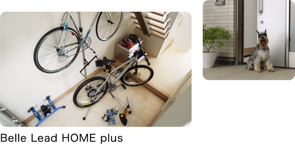 Belle Lead HOME plus