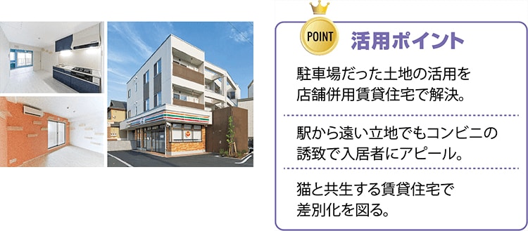活用ポイント