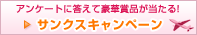 AP[gɓč؏ܕiITNXLy[