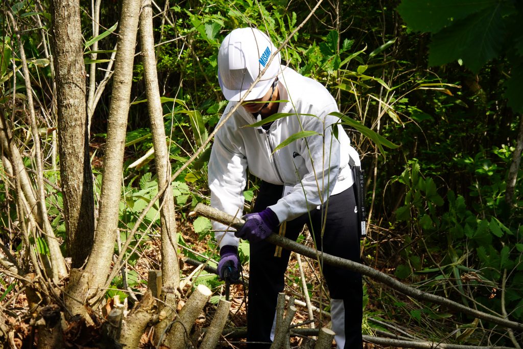 http://「ミサワホームの森　松本」で森林整備活動を実施<br生物多様性保全や社会貢献の一環