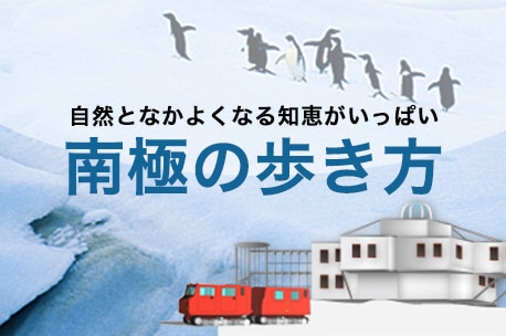 自然となかよくなる知恵がいっぱい 南極の歩き方