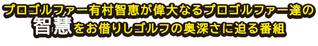 vSt@[Lqb̑ȂvSt@[B̒qd؂肵St̉[ɔԑg 