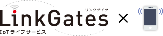 linkgates-googlehome
