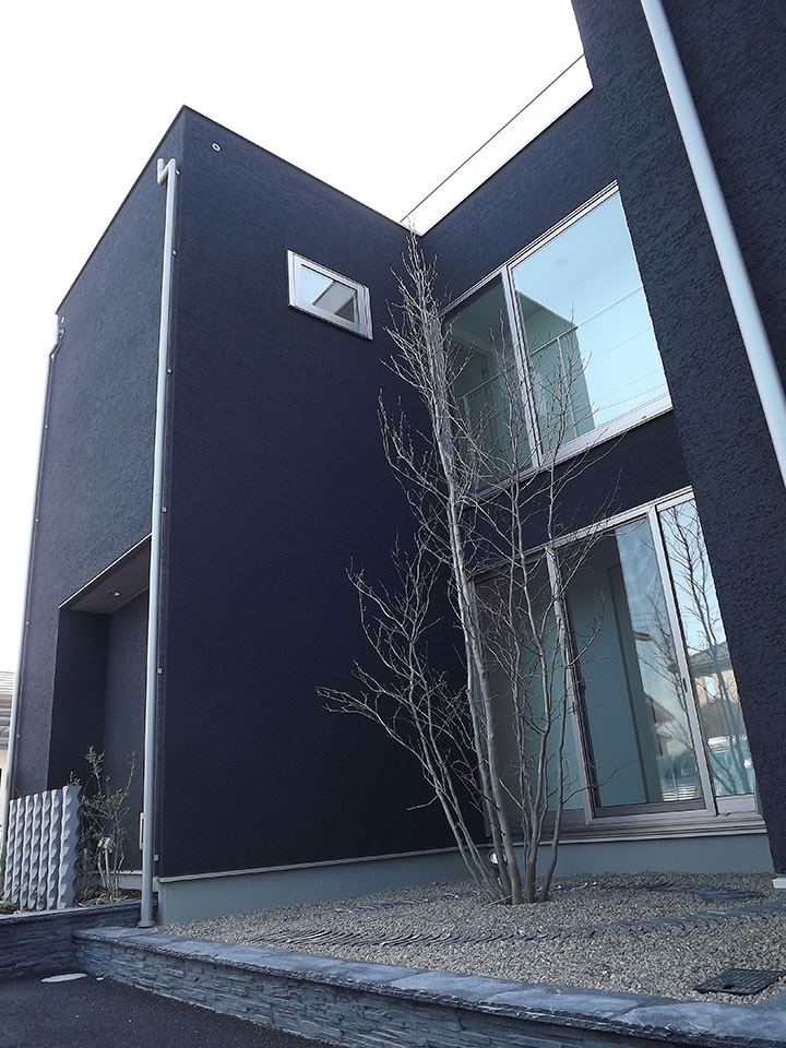 CUBE