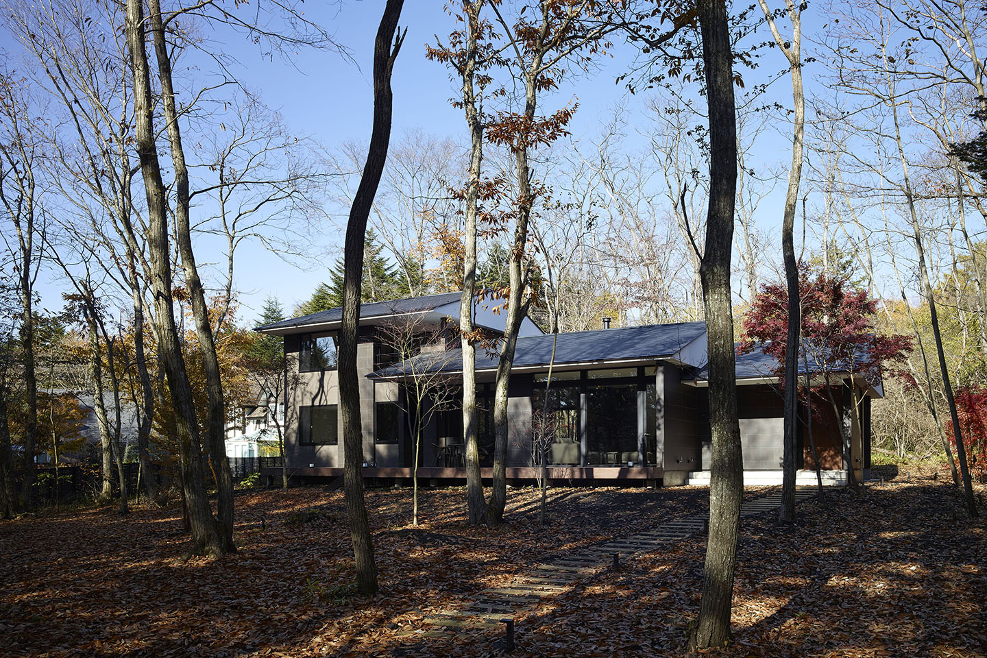 Villa In Forest 04