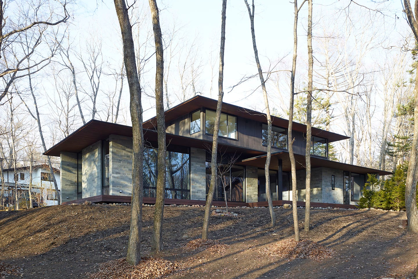 Villa In Forest 07