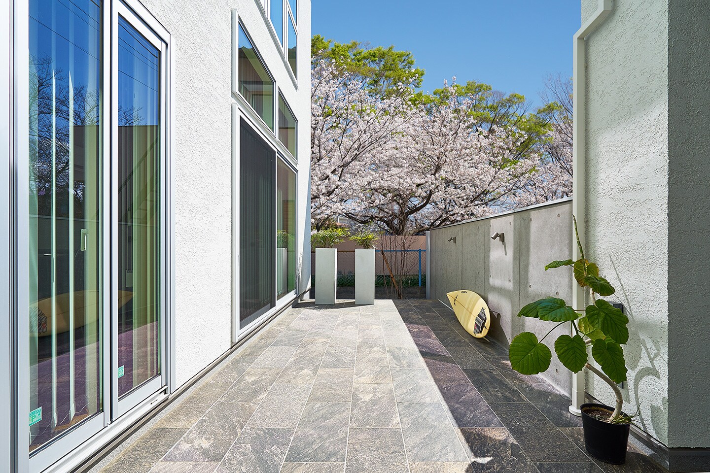 Achromatic　Colored　House：外観