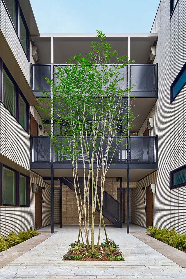 木造ゼロエミマンション