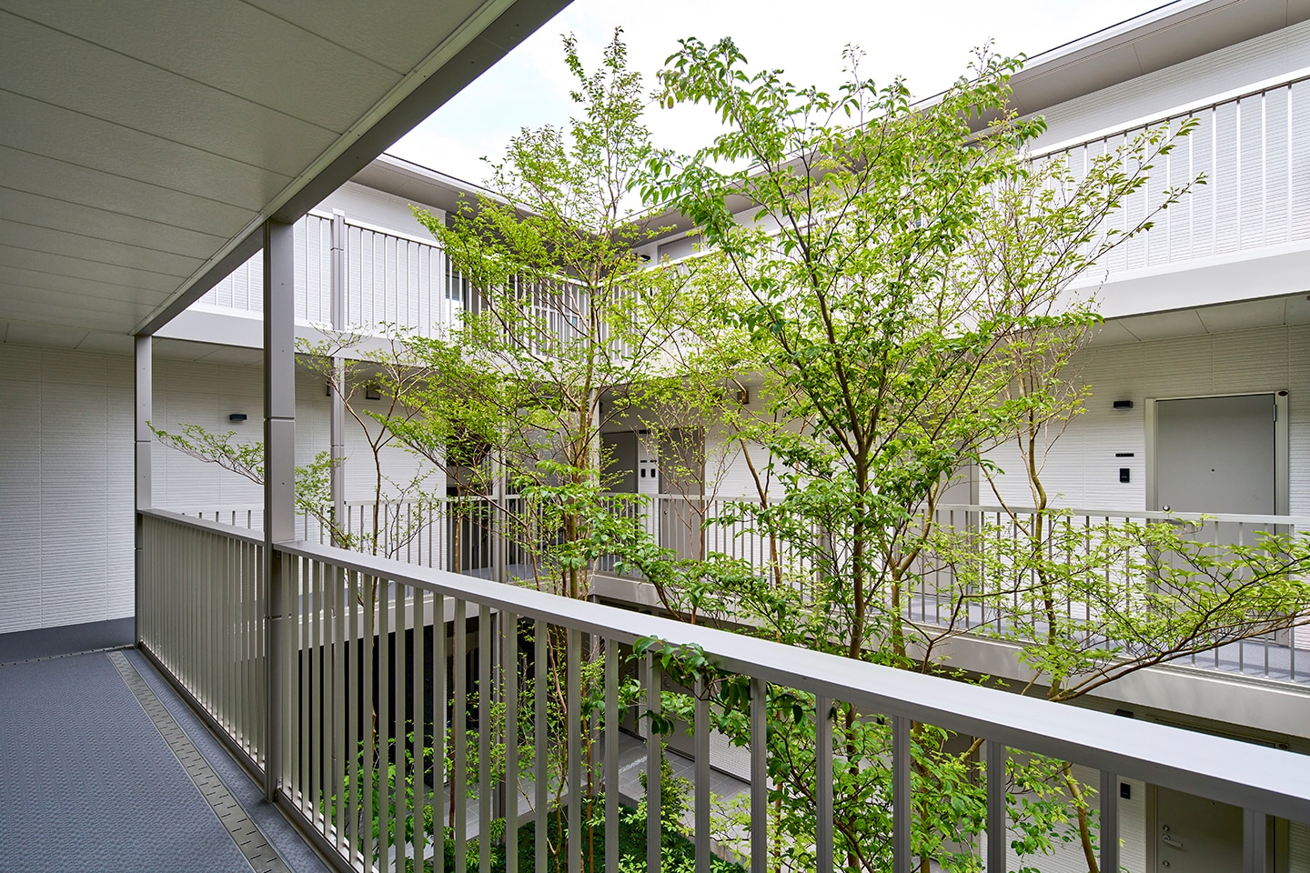 The WALL Between Them