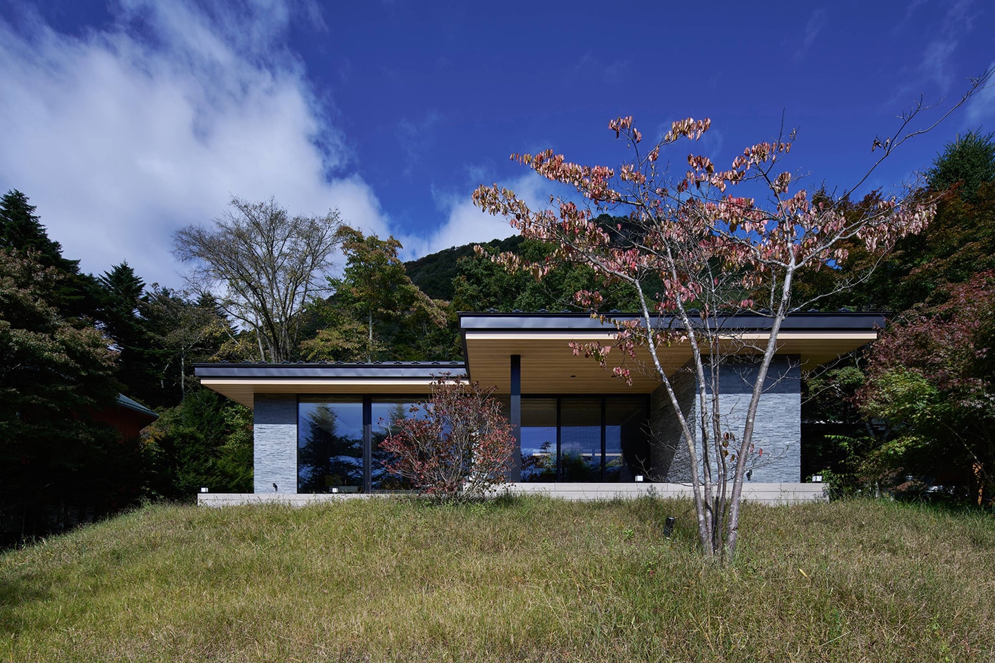 Villa In Forest 24：外観