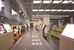 写真: 一般見学できるミサワパーク東京