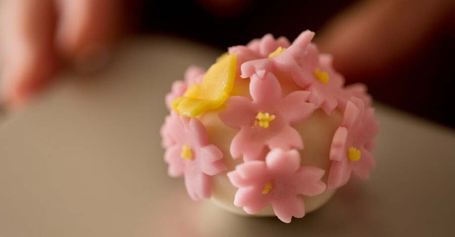 写真8