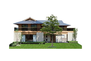 CENTURY