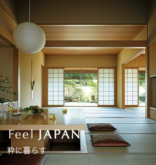 一戸建の商品CENTURY Primore3